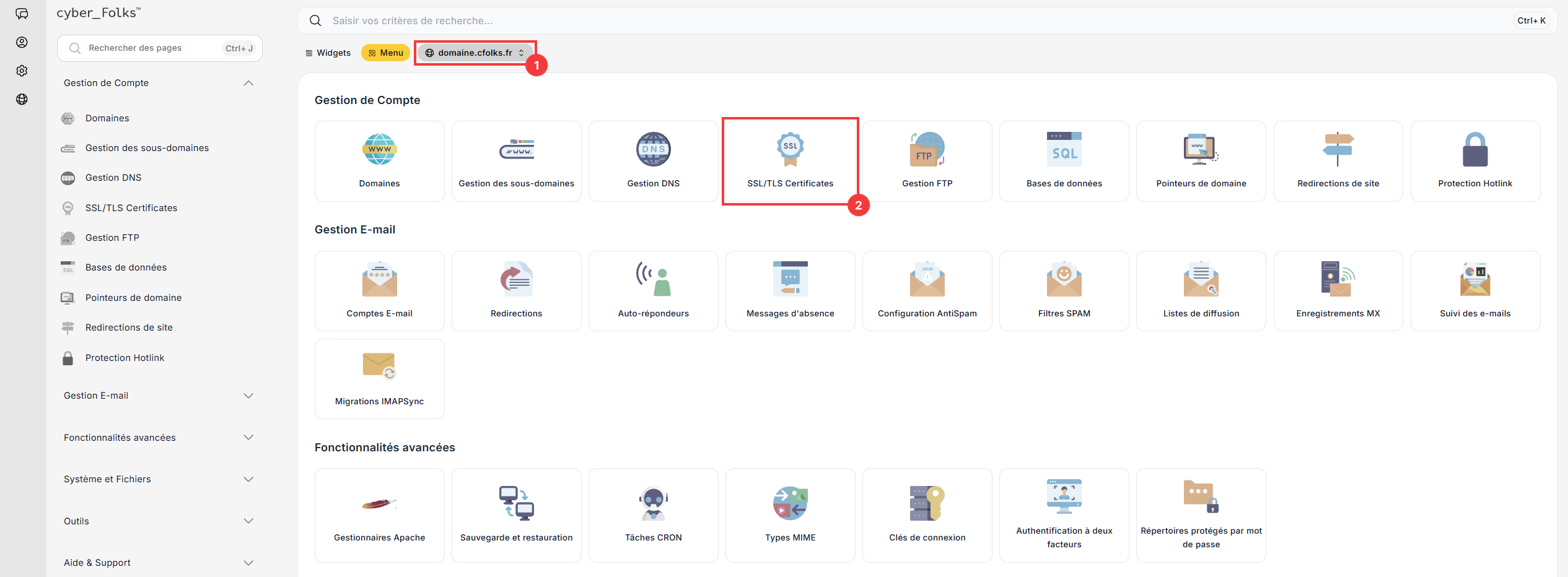 Sélection du domaine et onglet SSL/TLS Certificates